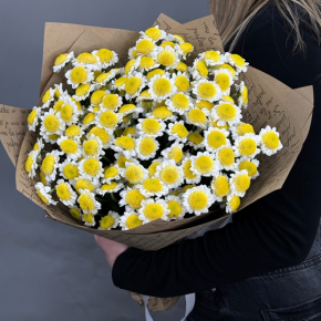 Букет "Моё солнышко" из 11 хризантем сантини  в Воскресенске