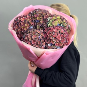 Букет из 5 космических Голландских гортензий в Воскресенске