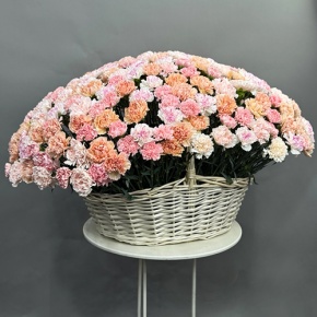Композиция в корзине из 251 диантуса микс в Воскресенске