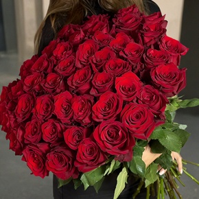 Букет 51 роза Эквадор Эксплорер (60 см) в Воскресенске