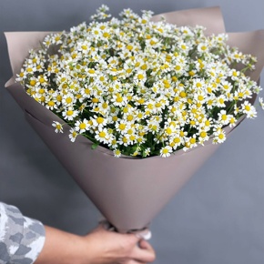 Букет из 17 ромашек танацетум в Воскресенске