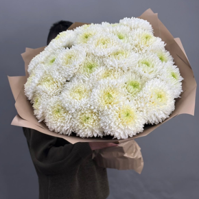 Букет из 27 хризантем Магнум в Воскресенске