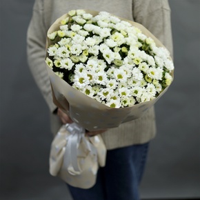 Букет "Милая моя" из 17 хризантем сантини в Воскресенске