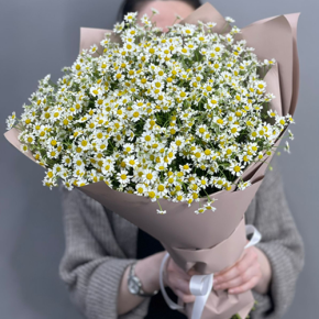 Букет из 17 полевых ромашек в Воскресенске