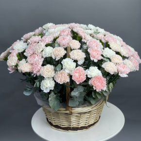 Композиция в корзине из 101 диантуса микс в Воскресенске