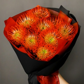 Букет из 9 лейко в Воскресенске