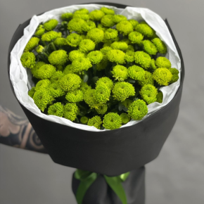 Стильный букет "Лайм" из 15 хризантем сантини в Воскресенске