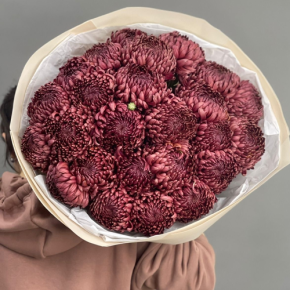 Букет 21 шоколадной хризантемы Бигоуди в Воскресенске