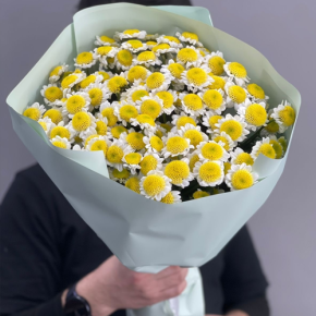 Букет "Моё солнышко" из 17 хризантем сантини  в Воскресенске