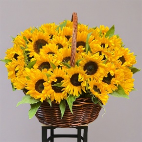 Композиция в корзине из 51 подсолнуха в Воскресенске
