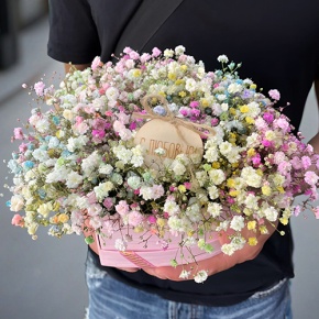 Композиция в коробке сердца из радужных гипсофил с топпером в Воскресенске