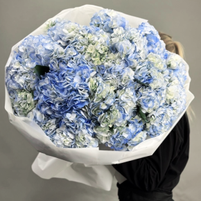 Букет из 23 синих гортензий в Воскресенске