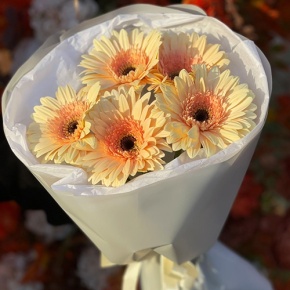 Букет из 5 персиковых гербер в Воскресенске
