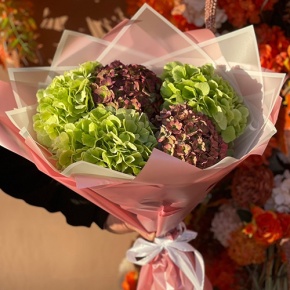 Букет из Голландских гортензий микс в Воскресенске