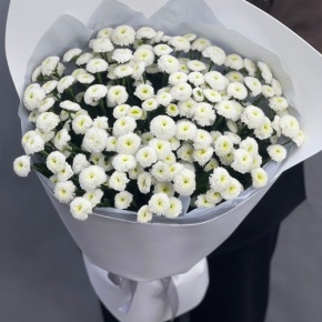 Букет "Белая дымка" из 25 хризантем сантини в Воскресенске