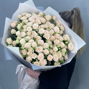 Букет из 25 кремовых кустовых роз (70 см) в Воскресенске