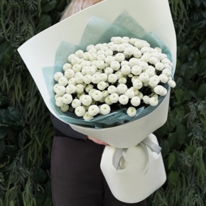 Букет из 25 хризантем Ньютон в Воскресенске