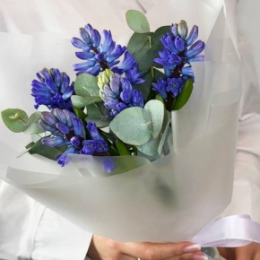 Букет "Мини" из 5 ароматных гиацинтов и эвкалипта в Воскресенске