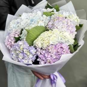 Букет из 9 Голландских гортензий микс в Воскресенске
