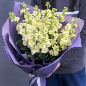 Букет из 15 лимонных маттиол в Воскресенске