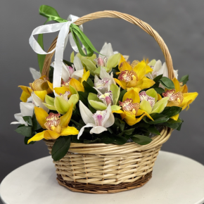 Композиция в корзине из 25 орхидей микс в Воскресенске