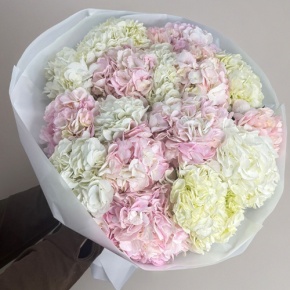 Букет из 17 нежных гортензий в Воскресенске