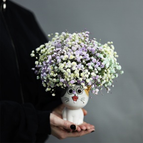 Композиция из гипсофил в керамическом кашпо в Воскресенске