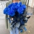 15 синих LUX роз Эквадор (70 см) в Воскресенске