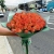 Букет из 51 мандариновой розы (40 см) в Воскресенске