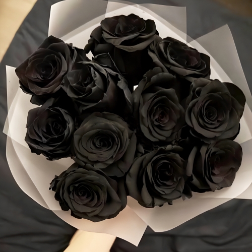 Букет "Черная королева" из 11 черных роз Эквадор (60 см) в Воскресенске
