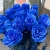 15 синих LUX роз Эквадор (70 см) в Воскресенске
