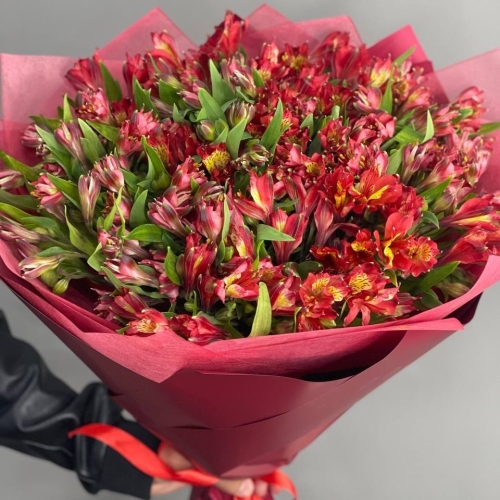Монобукет из 25 красных альстромерий в Воскресенске