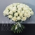 Букет 75 белых роз Эквадор Мондиаль (80 см) в Воскресенске