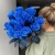 15 синих LUX роз Эквадор (70 см) в Воскресенске