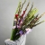 Букет из 25 гладиолусов микс в Воскресенске