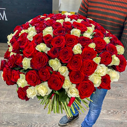 Букет 151 роза красный и белый микс (60 см) в Воскресенске