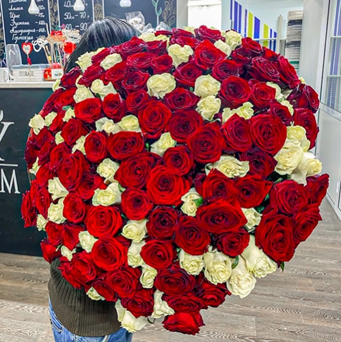 Букет 151 роза красный и белый микс (60 см) в Воскресенске