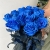15 синих LUX роз Эквадор (70 см) в Воскресенске