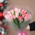 Букет "Фламинго" из 11 пионовидных тюльпанов в Воскресенске