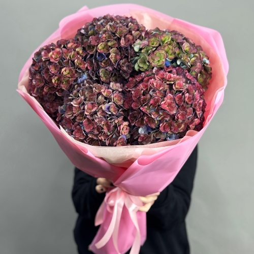 Букет из 5 космических Голландских гортензий в Воскресенске