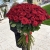 Букет из 101 красной розы (90 см) в Воскресенске