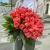 Букет 51 роза коралл (60 см) в Воскресенске Букет 51 роза коралл (60 см) в Воскресенске