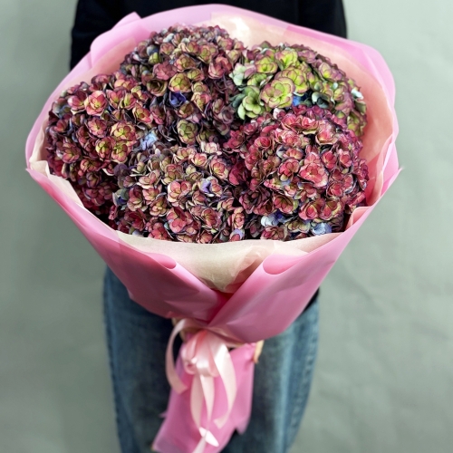 Букет из 5 космических Голландских гортензий в Воскресенске