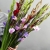 Букет из 25 гладиолусов микс в Воскресенске