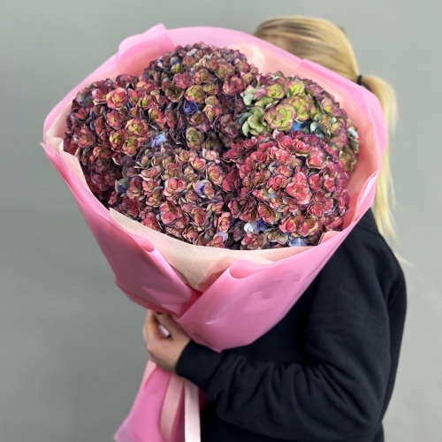 Букет из 5 космических Голландских гортензий в Воскресенске